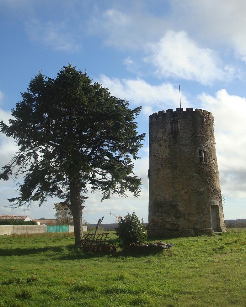 Maison + Terrain de 386 m2  à Saint-Mathurin