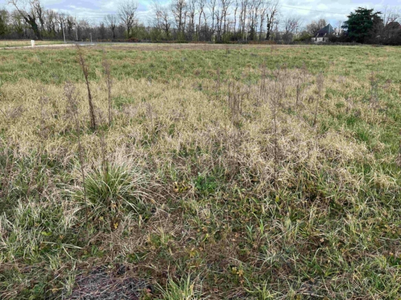 Terrain de 1 299m² à vendre à Prudhomat (46)