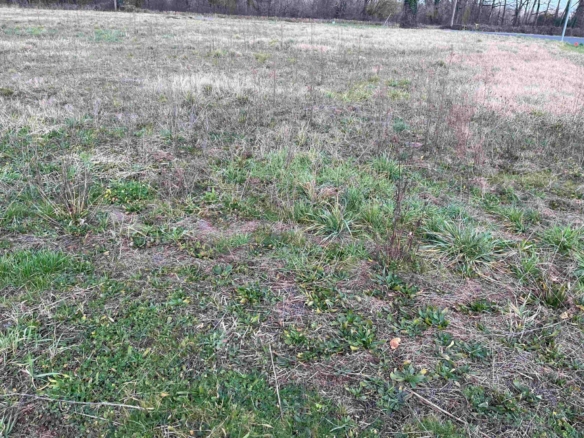 Terrain de 983m² à vendre à Prudhomat (46)