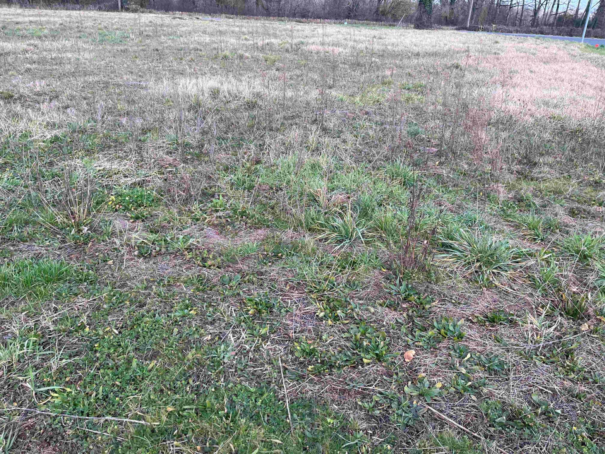 Terrain de 983m² à vendre à Prudhomat (46)