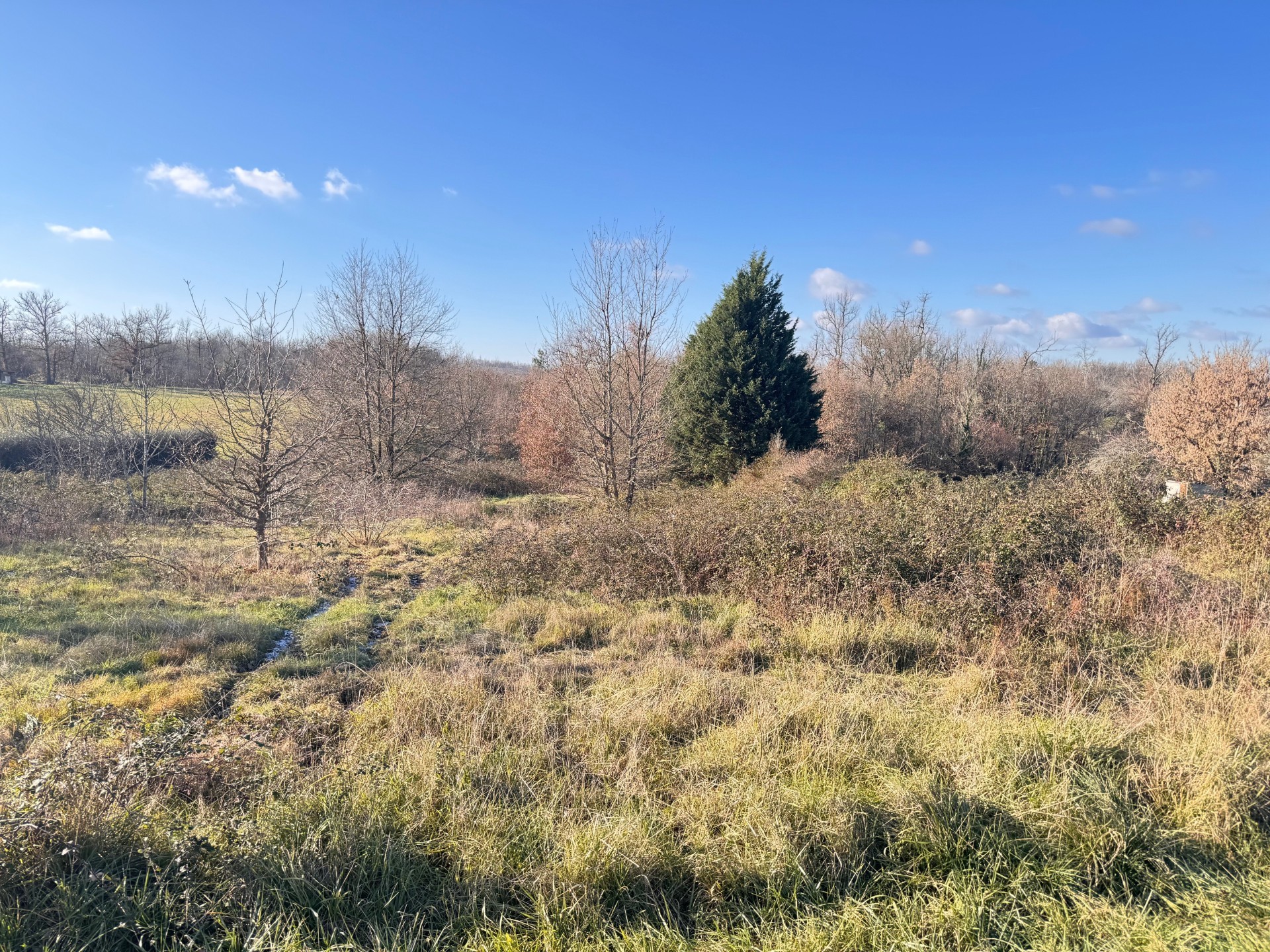 Terrain de 5 336m² à vendre à Saint-Vincent-Jalmoutiers (24)