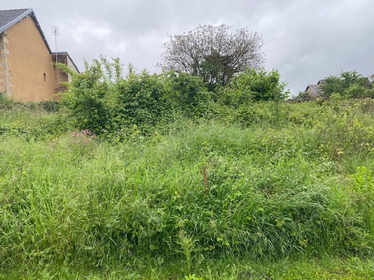 Terrain de 1 009m² à vendre à Athesans-Étroitefontaine (70)