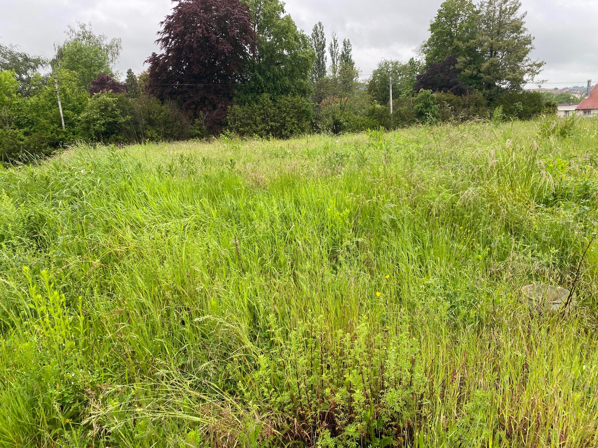 Terrain de 802m² à vendre à Essegney (88)