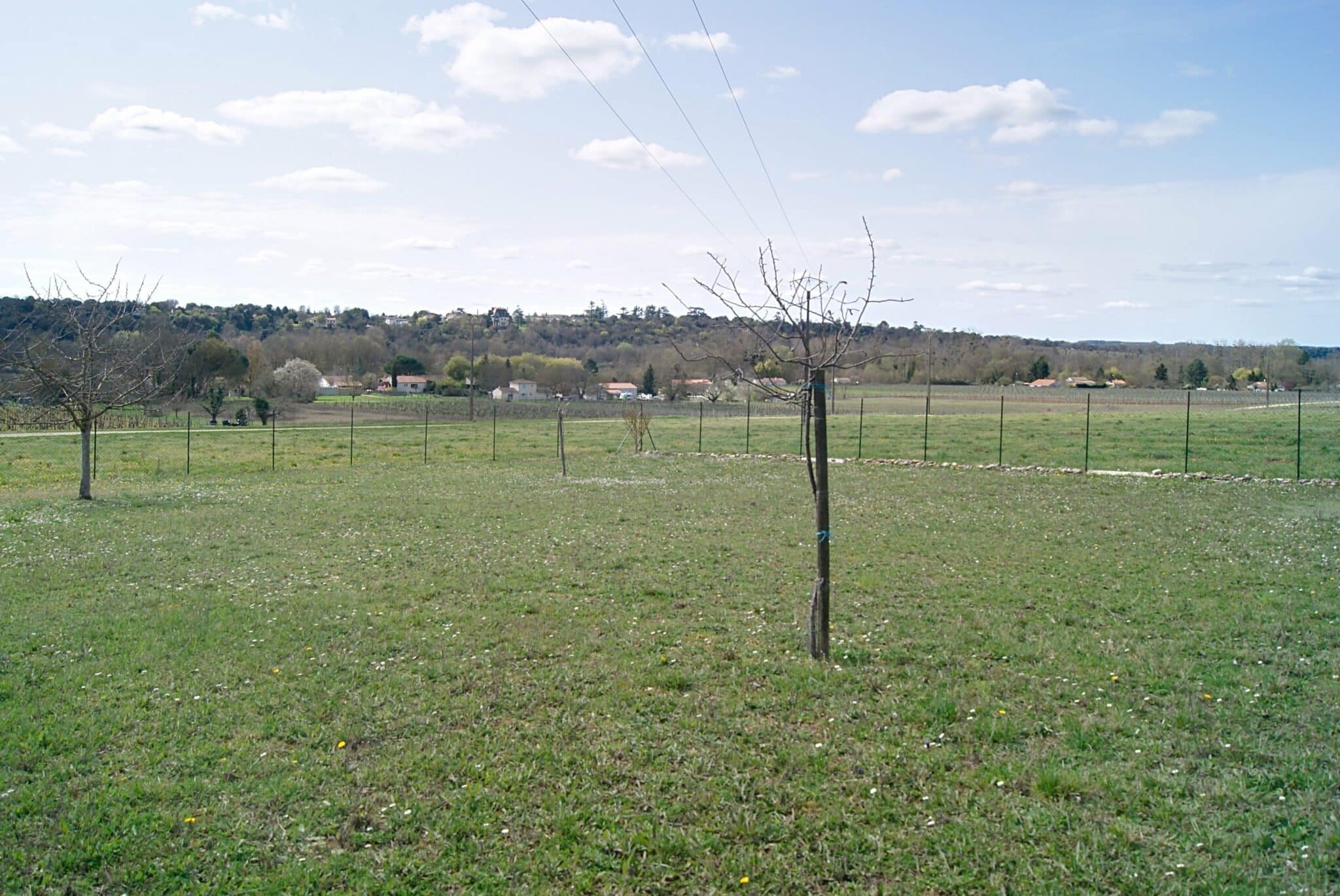 Terrain de 1 011m² à vendre à Boutiers-Saint-Trojan (16)