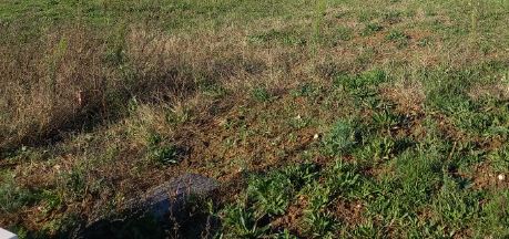 Terrain de 386m² à vendre à Chéméré (44)