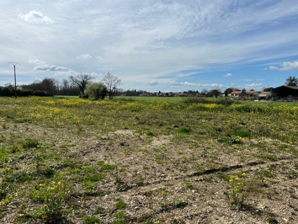 Terrain de 468m² à vendre à Métairies (16)