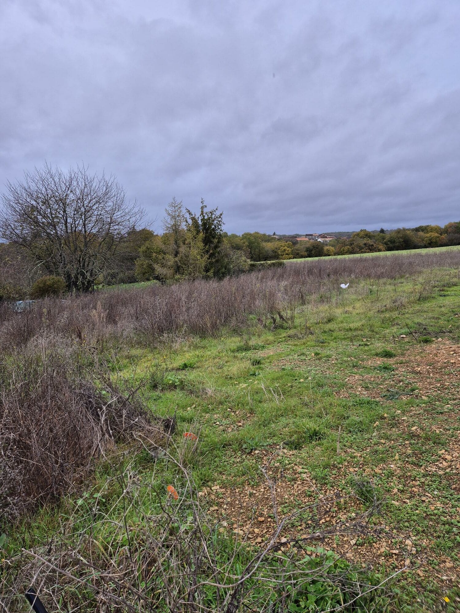 Terrain de 791m² à vendre à Touvre (16)