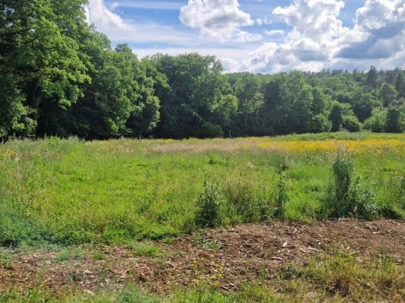 Terrain de 1 044m² à vendre à Vy-lès-Filain (70)