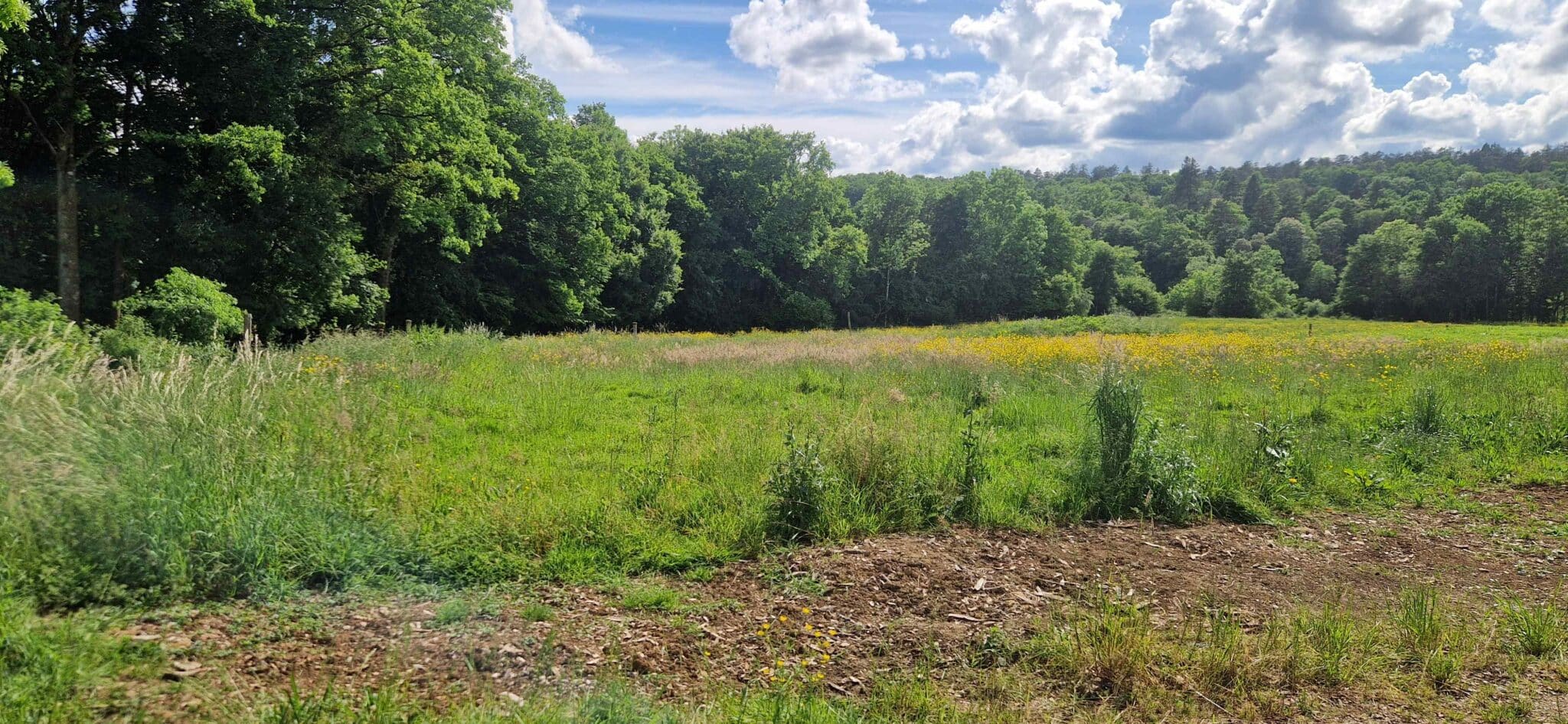 Terrain de 1 044m² à vendre à Vy-lès-Filain (70)