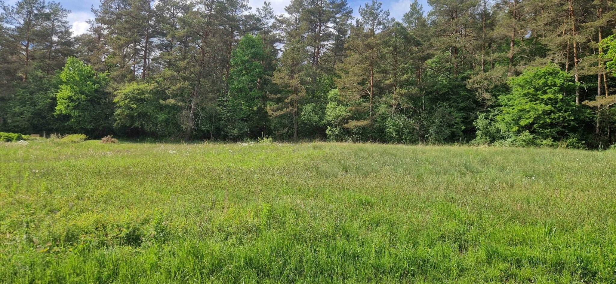 Terrain de 1 093m² à vendre à Bréville (16)
