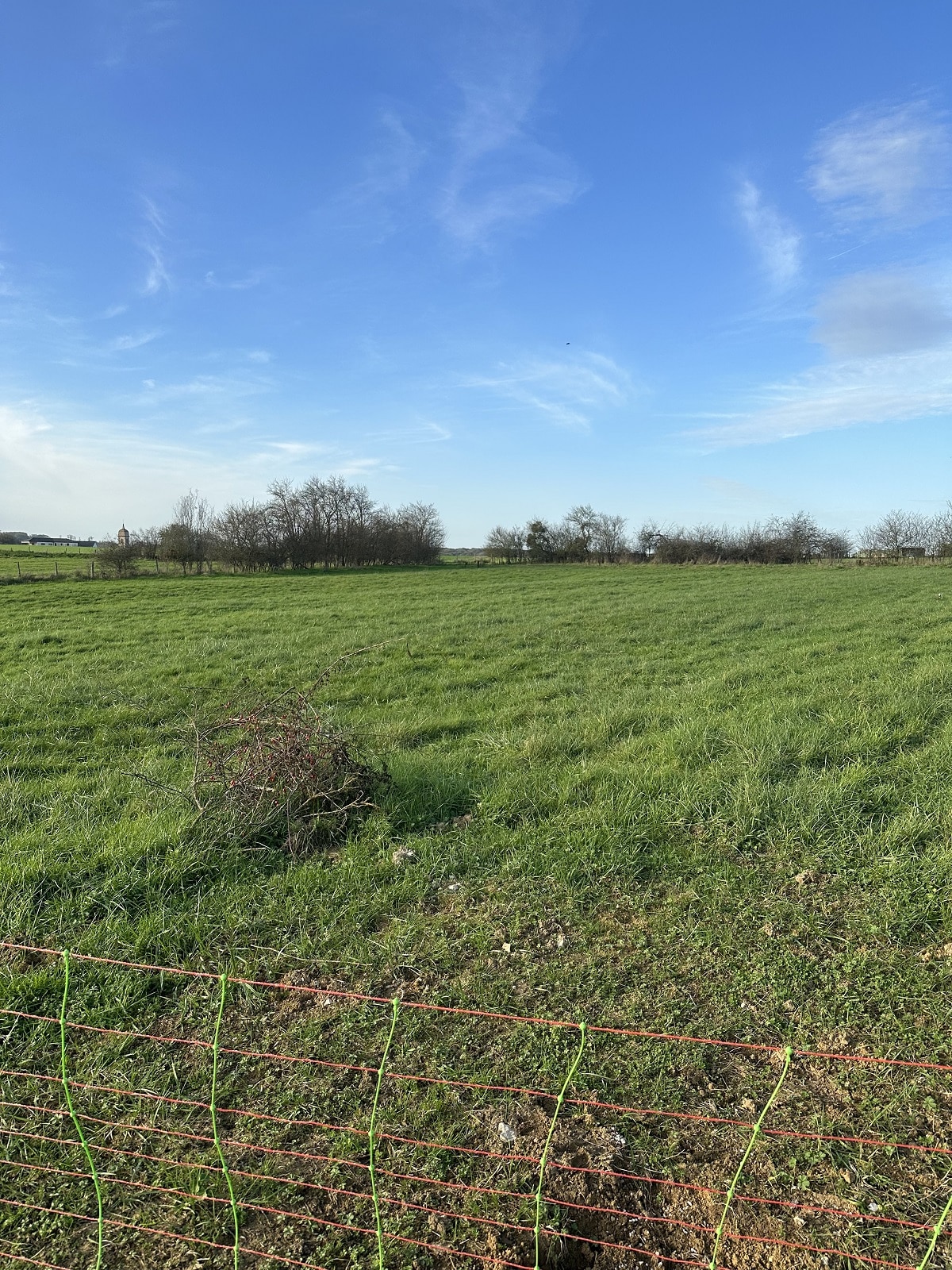 Terrain de 1 200m² à vendre à Gevigney-et-Mercey (70)