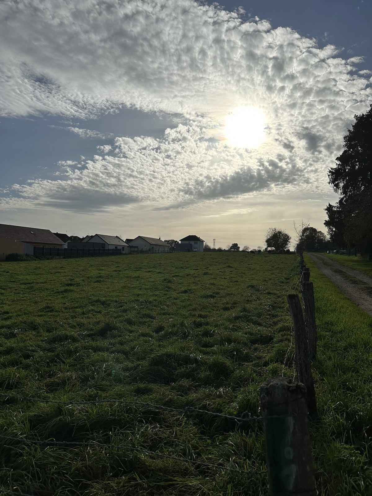 Terrain de 1 200m² à vendre à Gevigney-et-Mercey (70)