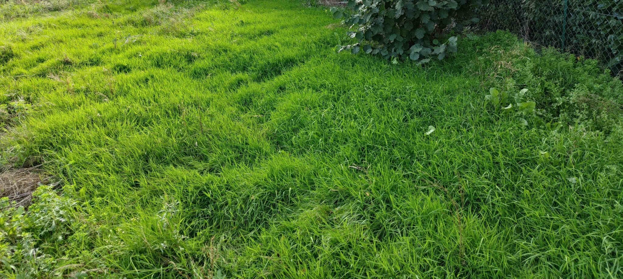 Terrain de 339m² à vendre à Vieillevigne (44)