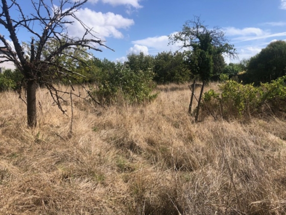 Terrain de 1 025m² à vendre à Cognac (16)