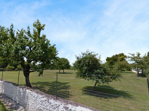 Terrain de 3 848m² à vendre à Gensac-la-Pallue (16)
