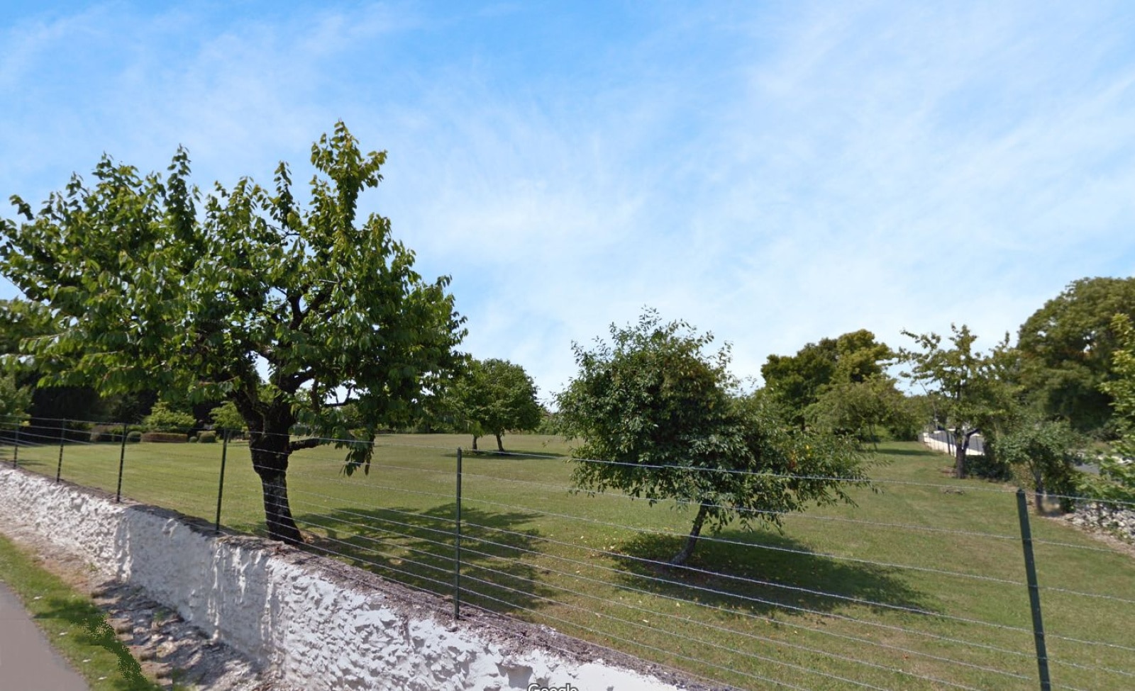 Terrain de 3 848m² à vendre à Gensac-la-Pallue (16)