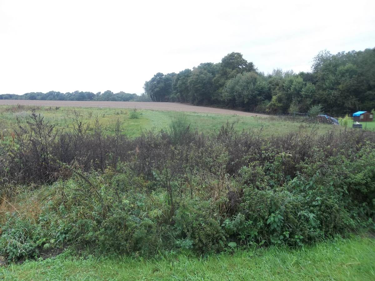 Terrain de 1 500m² à vendre à Soizy-aux-Bois (51)
