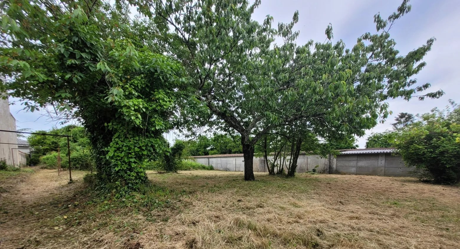 Terrain de 590m² à vendre à Cognac (16)