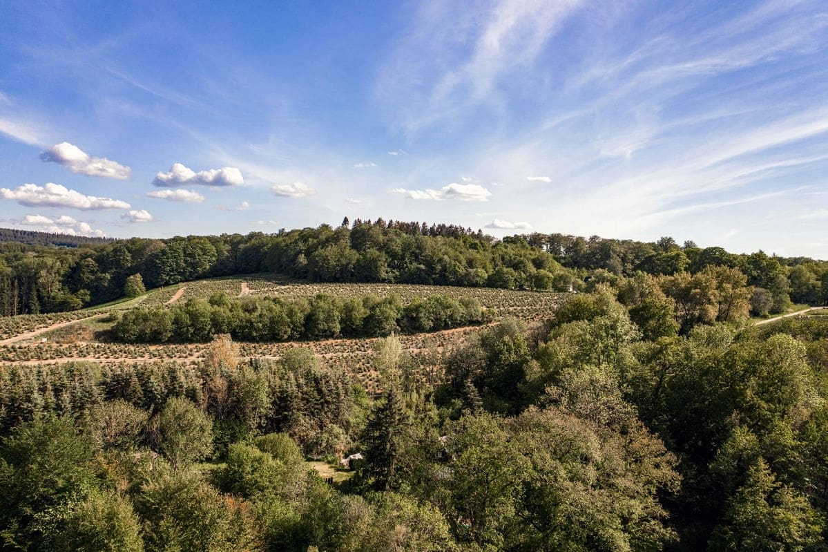 Terrain de 2 000m² à vendre à Rosiers-d’Égletons (19)
