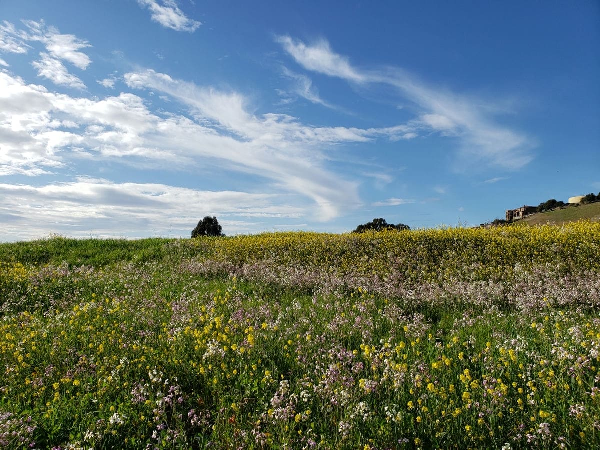 Terrain de 364m² à vendre à Mouilleron-le-Captif (85)