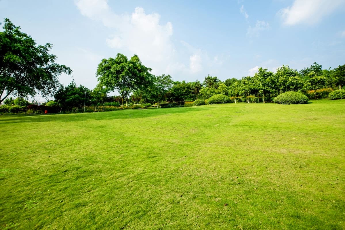 Terrain de 1 237m² à vendre à Écot (25)