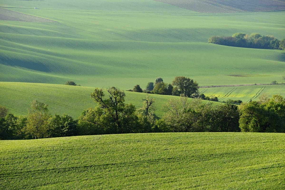 Terrain de 1 594m² à vendre à Sadroc (19)