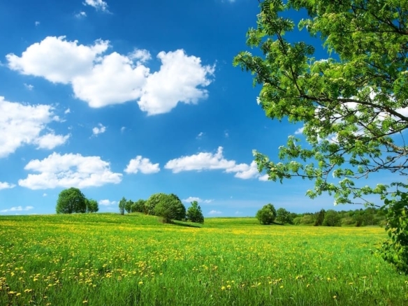 Terrain de 340m² à vendre à La Roche-sur-Yon (85)
