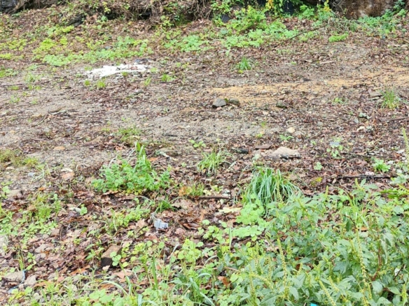 Terrain de 315m² à vendre à Mouzillon (44)