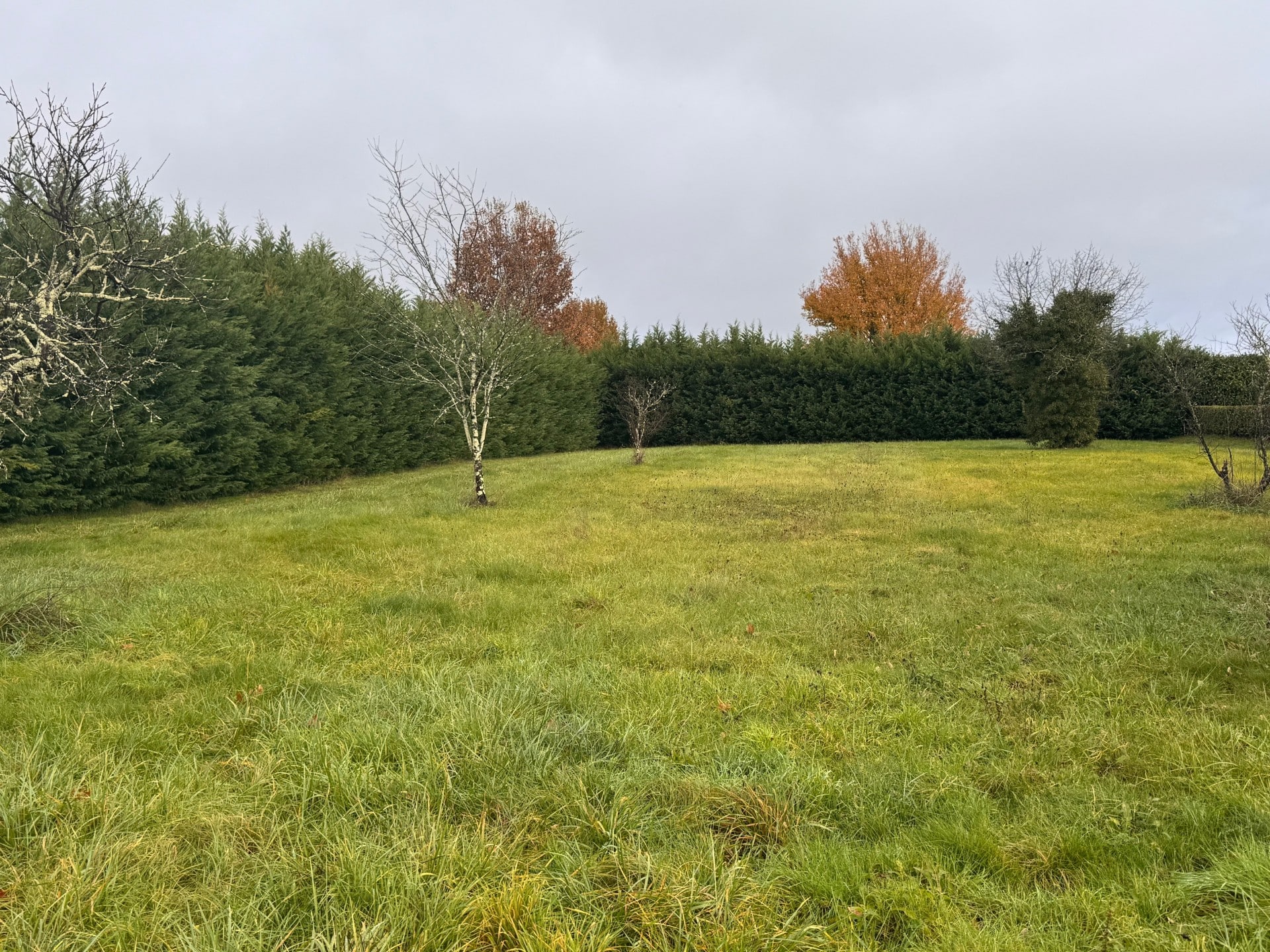 Maison + Terrain de 2 450 m2  à Lisle
