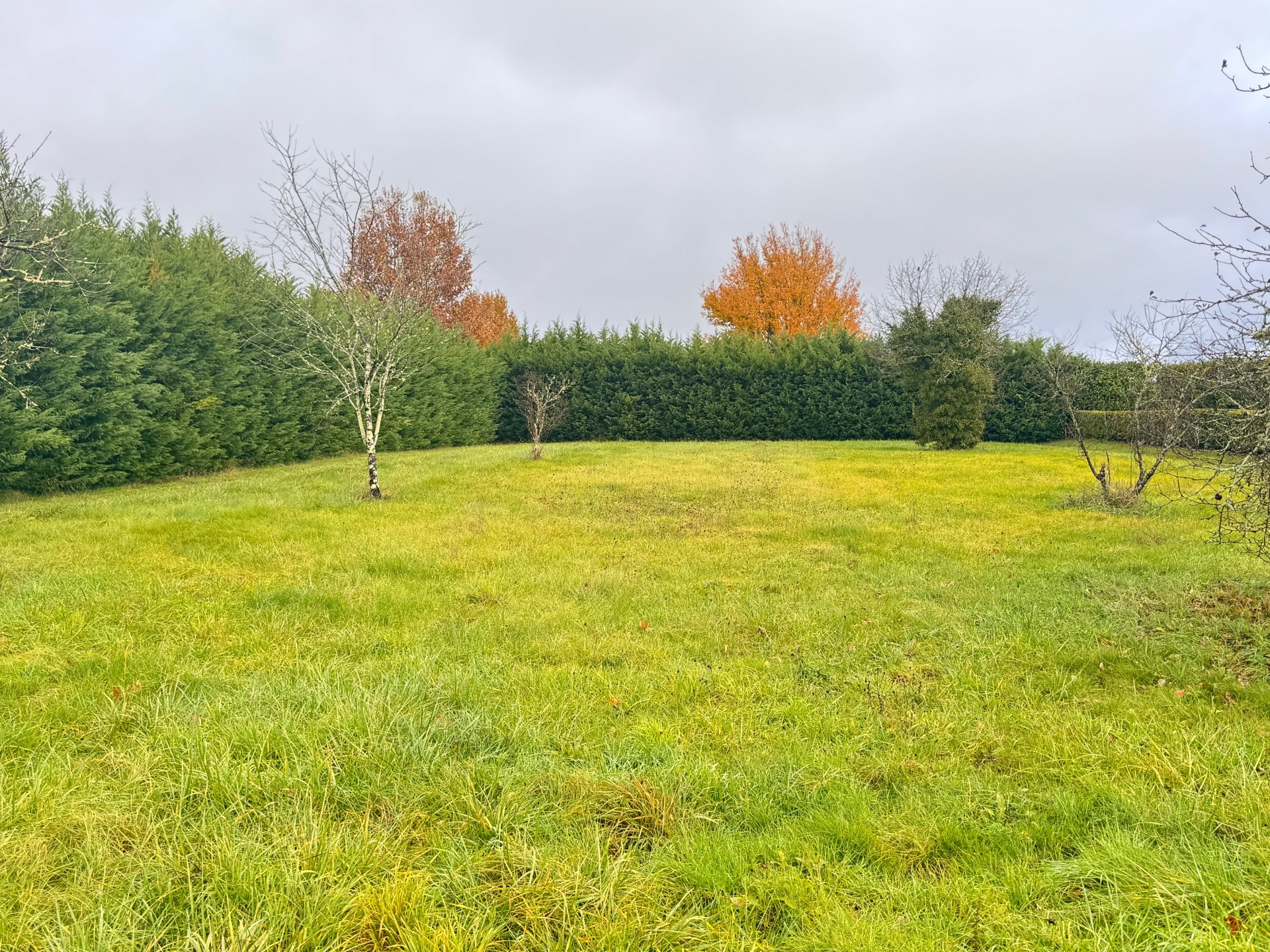 Maison + Terrain de 2 450 m2  à Lisle