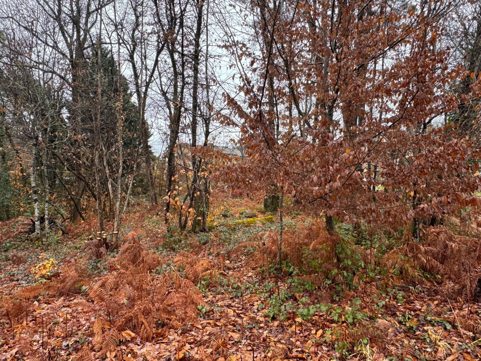 Maison + Terrain de 1 000 m2  à Chancelade