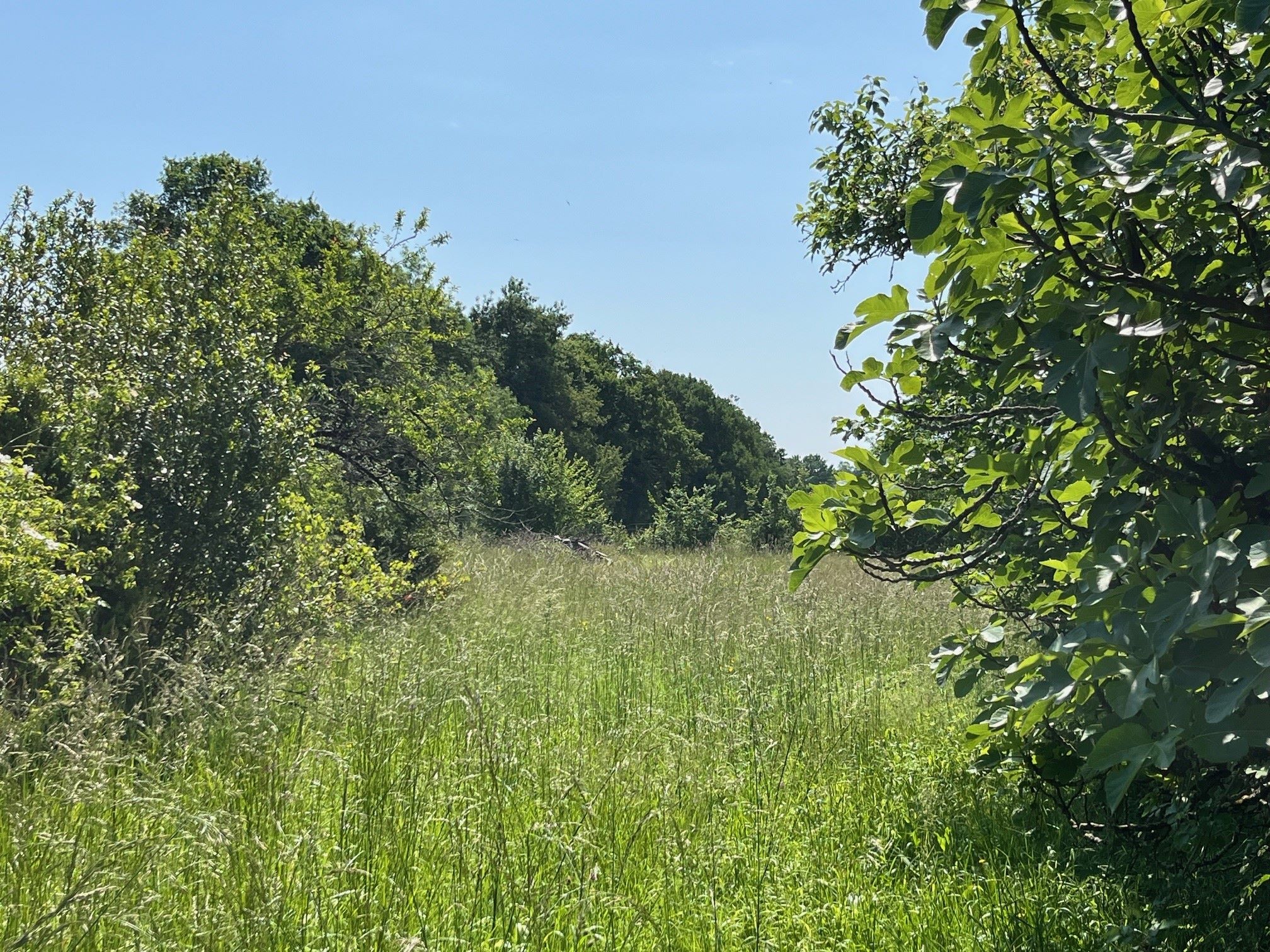 Terrain de 1 322m² à vendre à Verdille (16)
