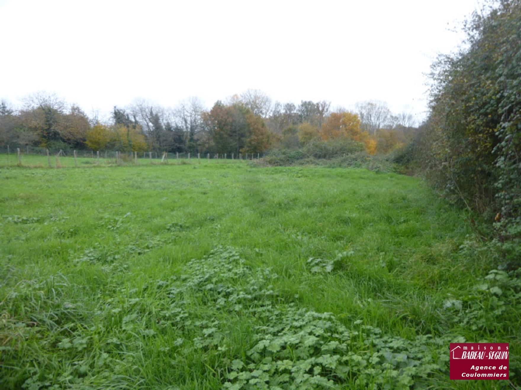 Terrain de 750m² à vendre à Villeneuve-sur-Bellot (77)