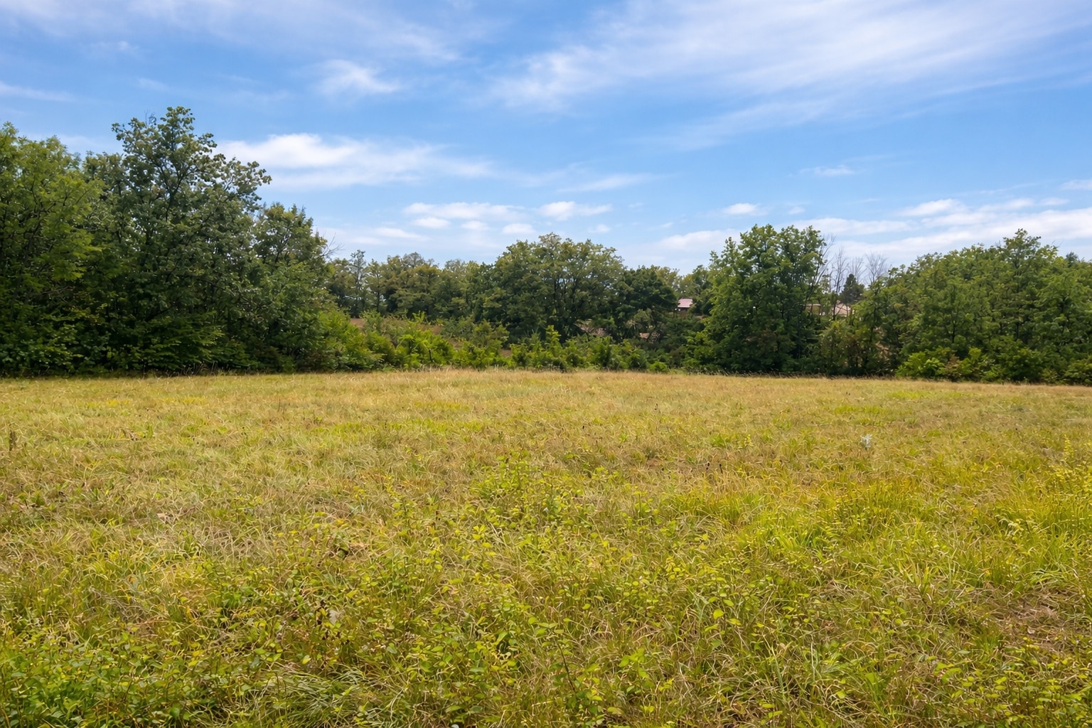 Maison + Terrain de 2 770 m2  à Le Vigan