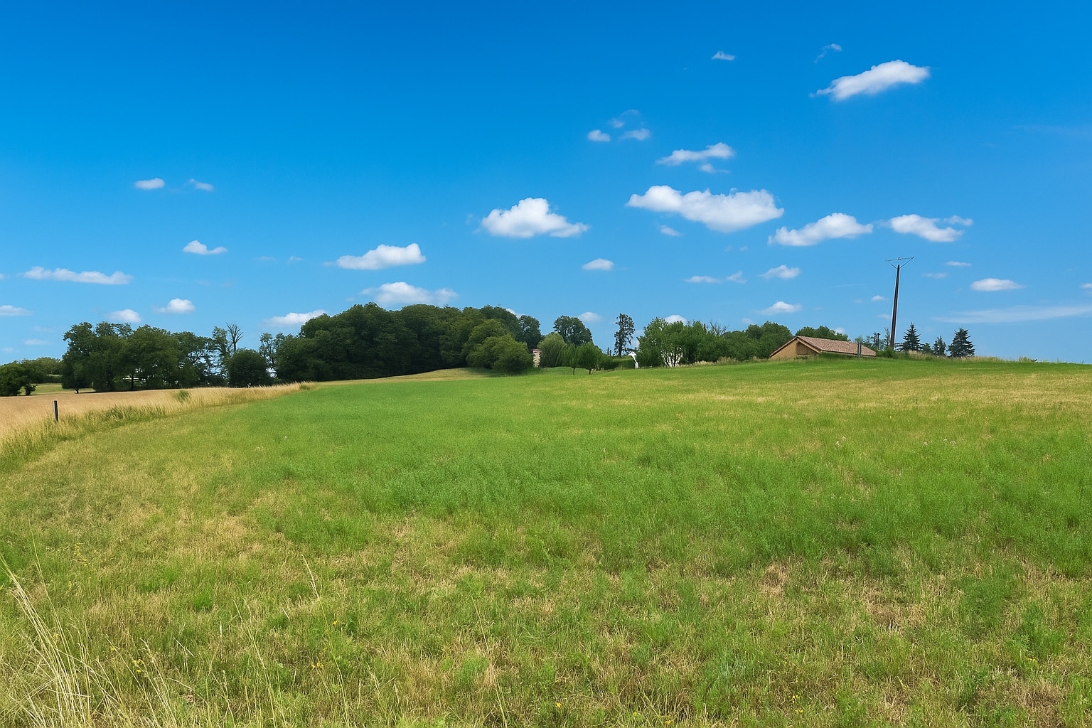Terrain de 3 300m² à vendre à Saint-Projet (46)