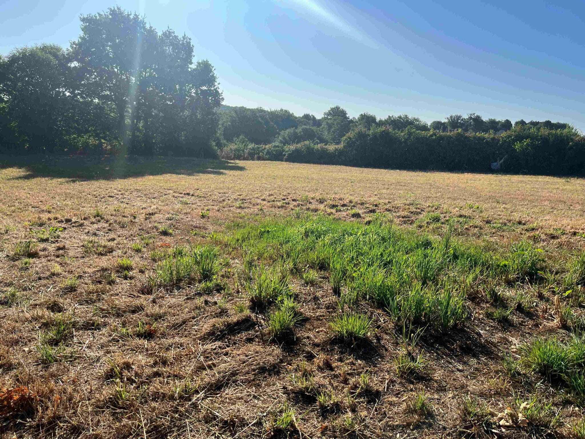 Terrain de 1 800m² à vendre à Payrignac (46)