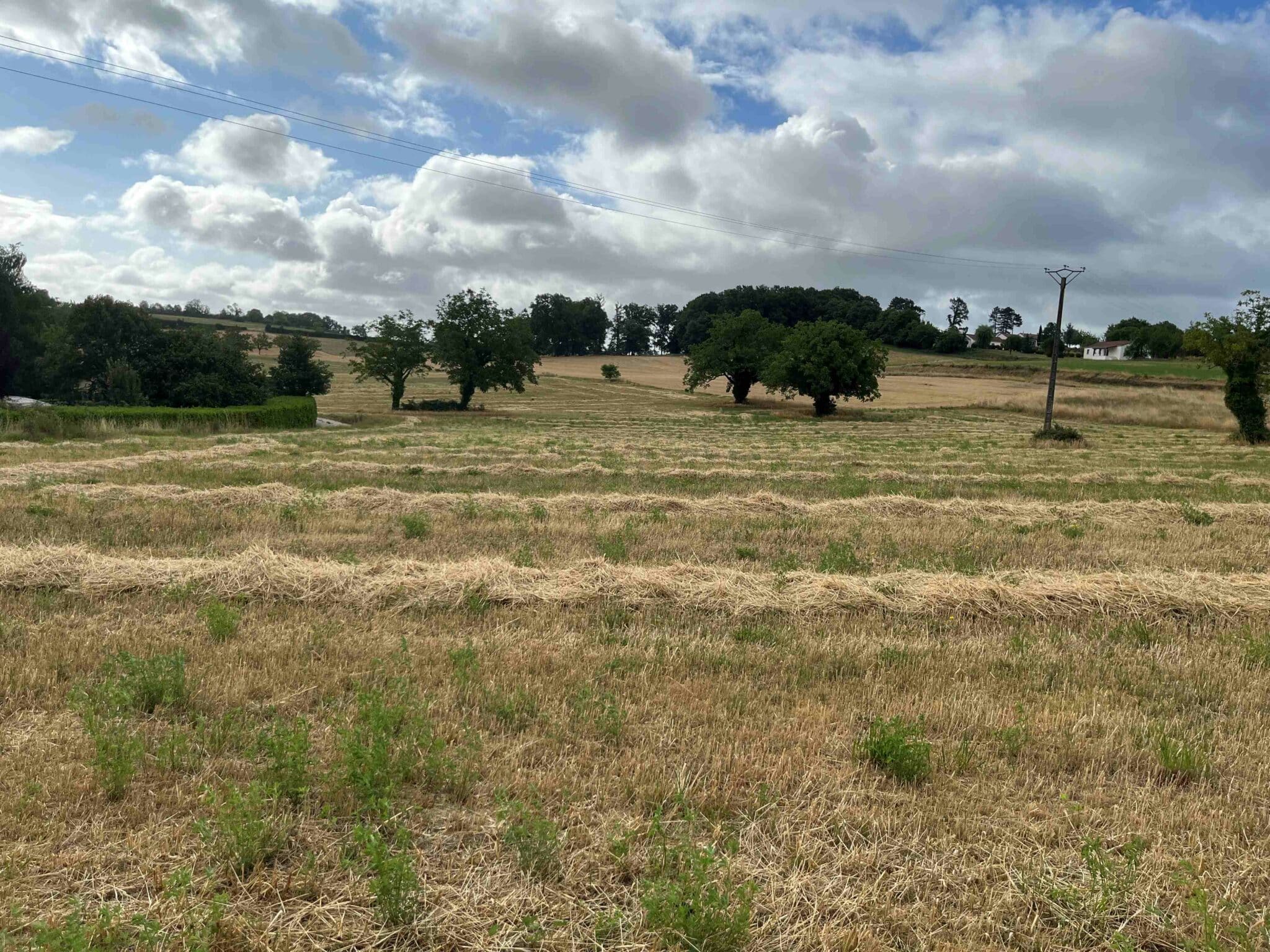 Terrain de 2 565m² à vendre à Saint-Projet (46)
