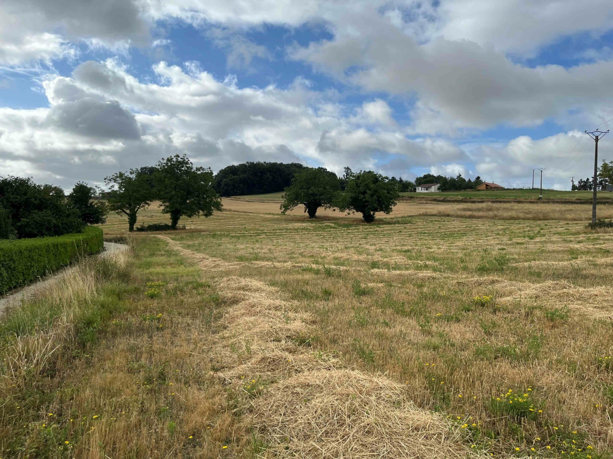 Terrain de 2 565m² à vendre à Saint-Projet (46)