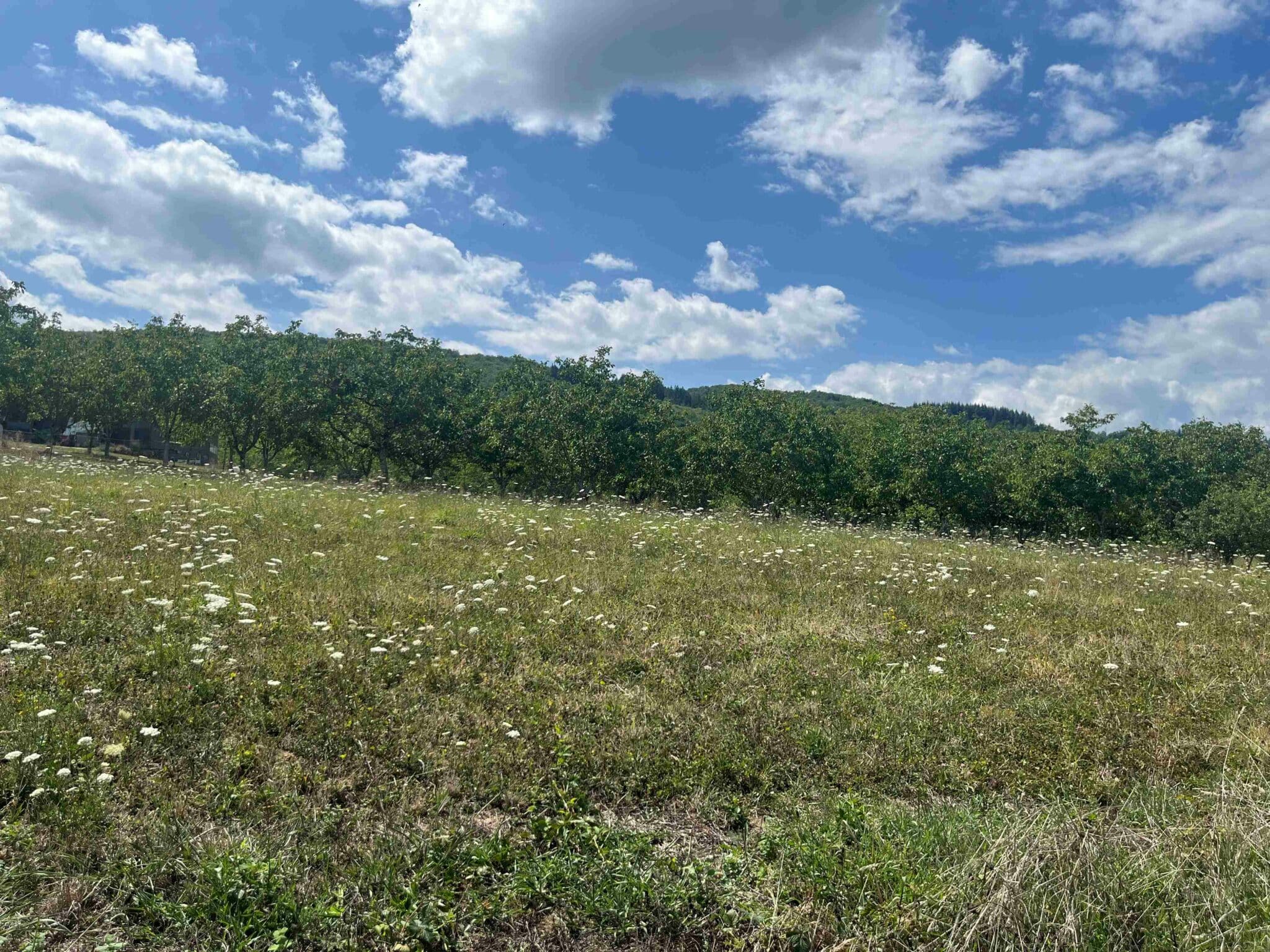 Terrain de 1 165m² à vendre à Lanzac (46)
