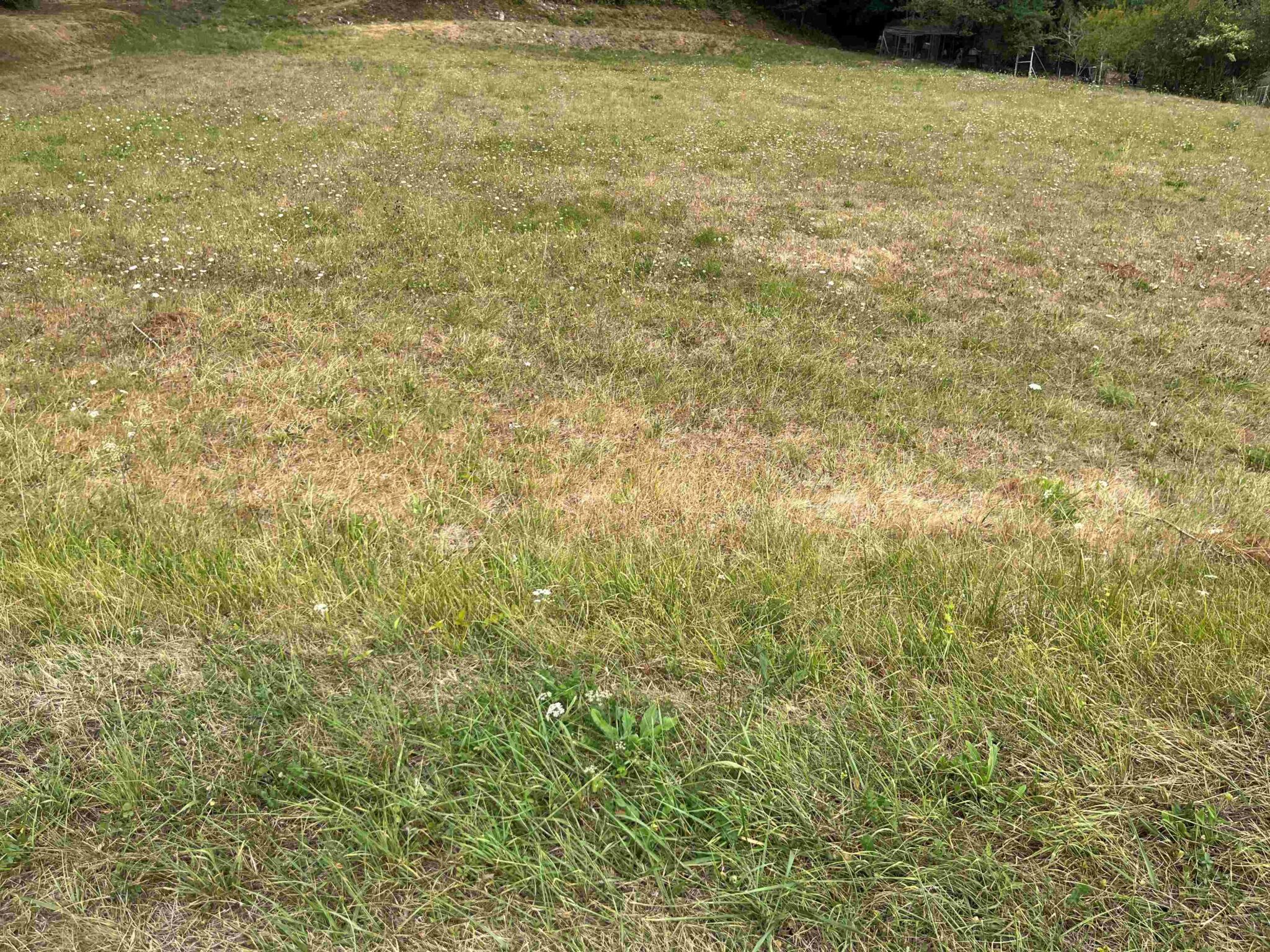 Maison + Terrain de 2 980 m2  à Gignac