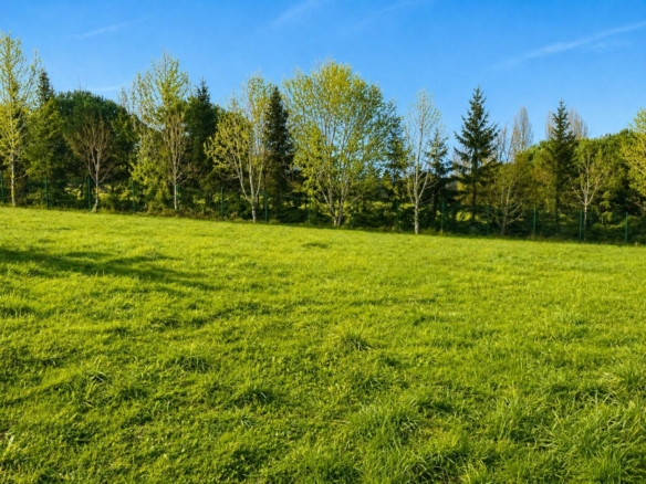 Terrain de 900m² à vendre à Mensignac (24)