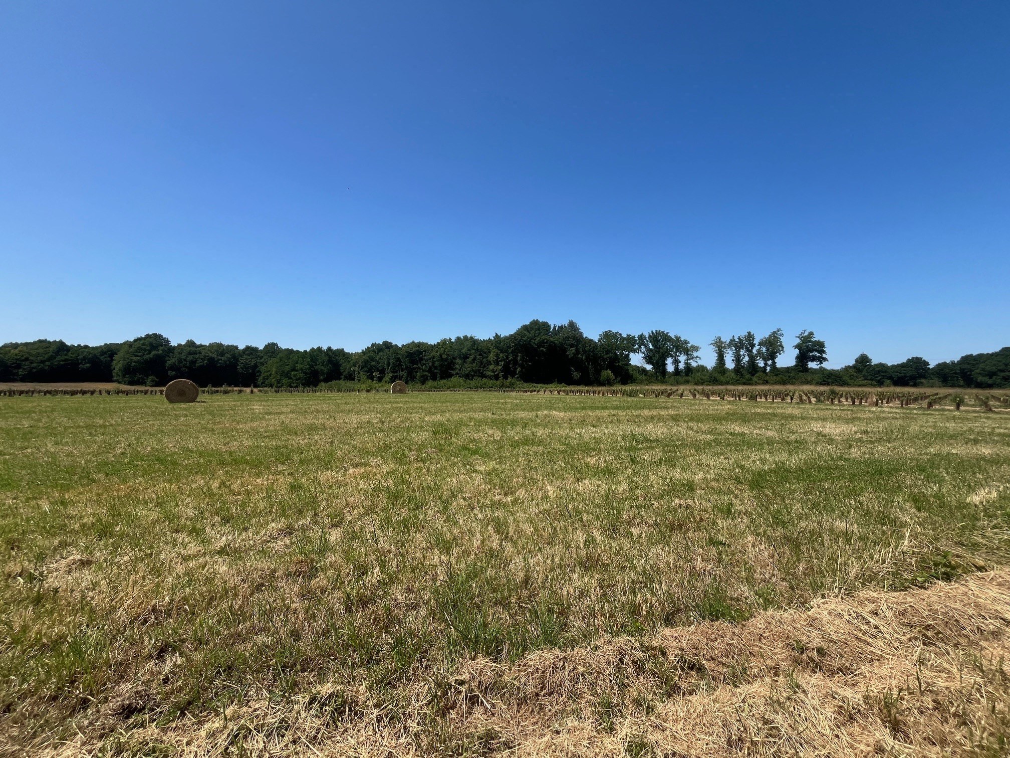 Terrain de 1 090m² à vendre à Chérac (17)