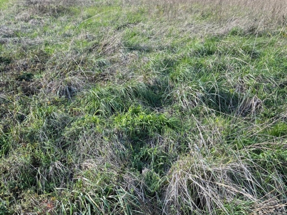 Terrain de 1 434m² à vendre à Genté (16)