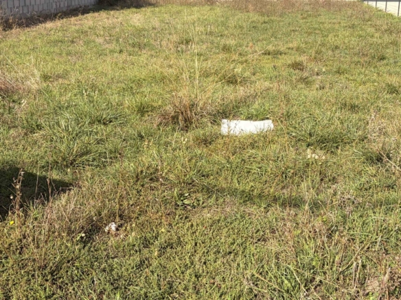 Terrain de 502m² à vendre à Gensac-la-Pallue (16)