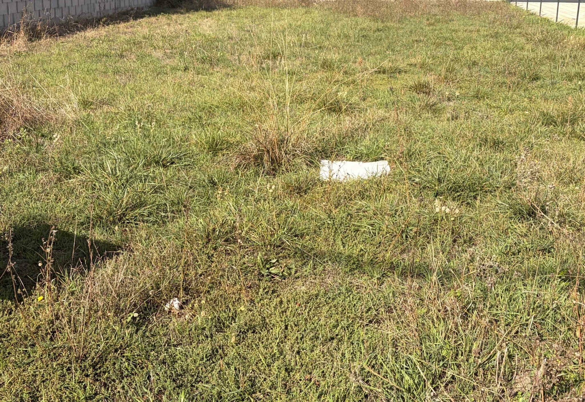 Terrain de 502m² à vendre à Gensac-la-Pallue (16)