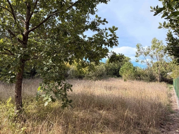 Terrain de 1 267m² à vendre à Ars (16)