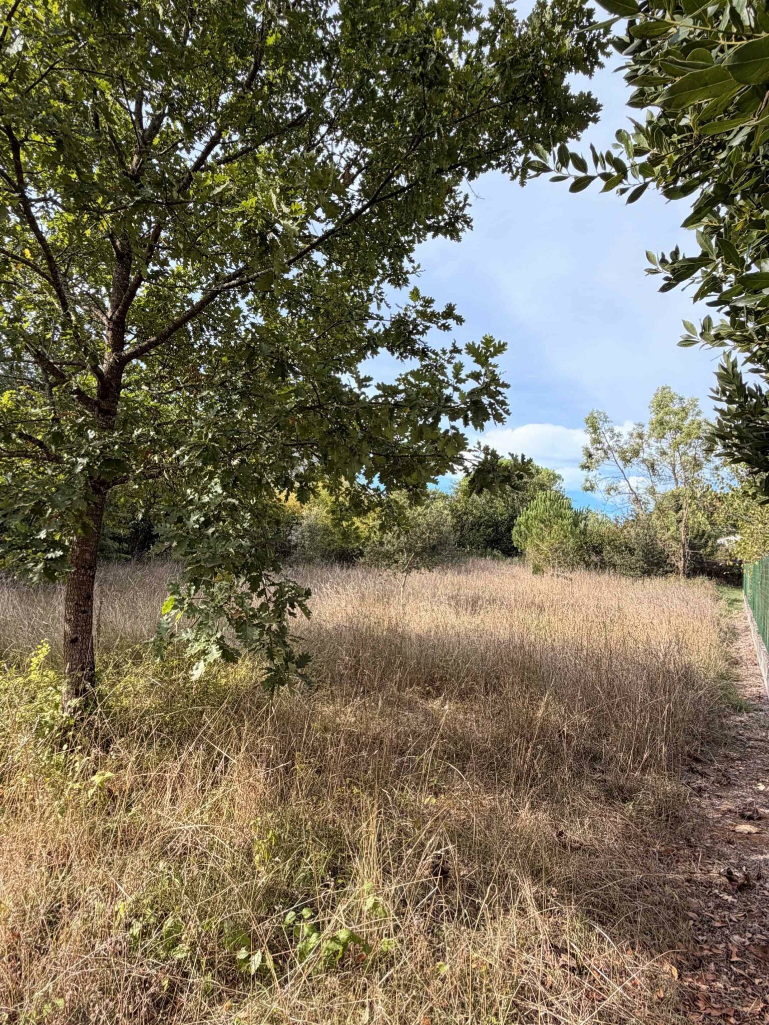 Terrain de 1 267m² à vendre à Ars (16)