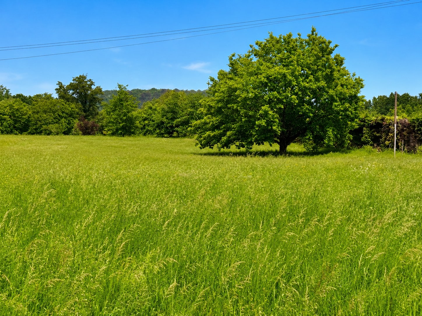 Terrain de 997m² à vendre à Razac-sur-l’Isle (24)