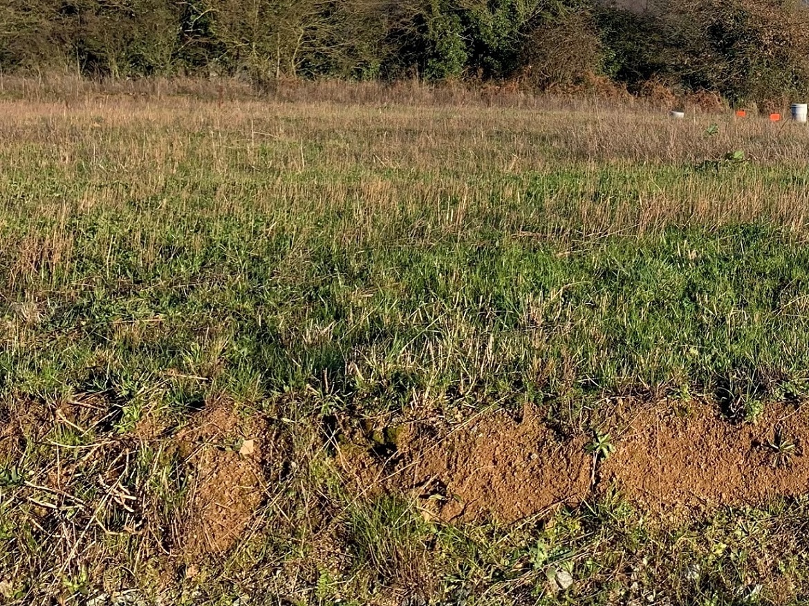 Terrain de 372m² à vendre à Sainte-Pazanne (44)