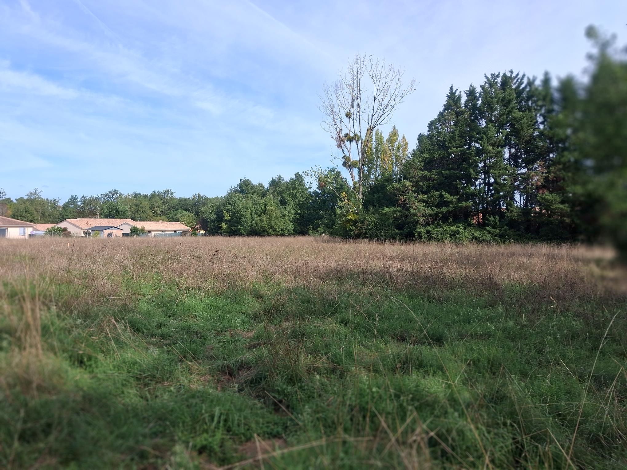 Maison + Terrain de 2 000 m2  à Boulazac